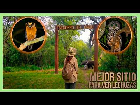 El lugar de Chaco que nunca defrauda para ver fauna