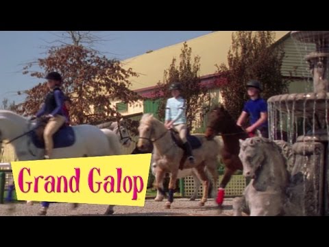 Grand Galop 123 - La grande compétition | HD | Épisode Complet