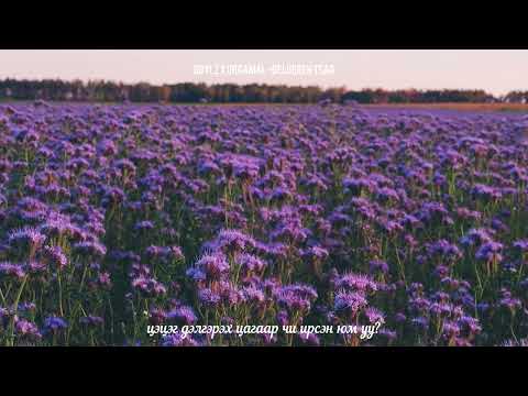 GOYLZ x URGAMAL - DELGEREH TSAG (Official music)