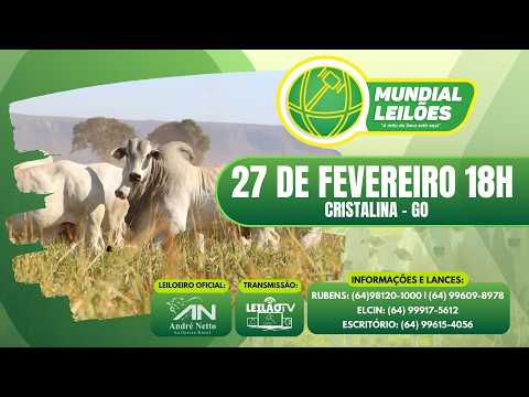 LEILÃO AO VIVO - MUNDIAL LEILÕES A MÃO DE DEUS ESTA AQUI - CRISTALINA GO - 27/02/2026