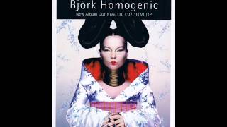 Björk-Immature (rare version)