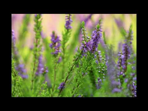 Deanz, Revel Day - A Little Closure (Heyson Remix) (Beats)