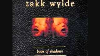 Zakk Wylde - Between Heaven And Hell.wmv