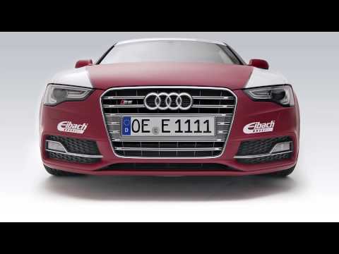 EIBACH | SPORTLINE | Sport Performance Springs (English)