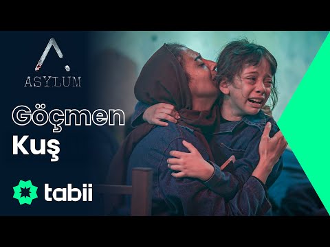 Göçmen Kuş - Figan | Asylum Dizi Müzikleri