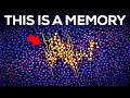 How Are Memories Stored Inside Your Brain