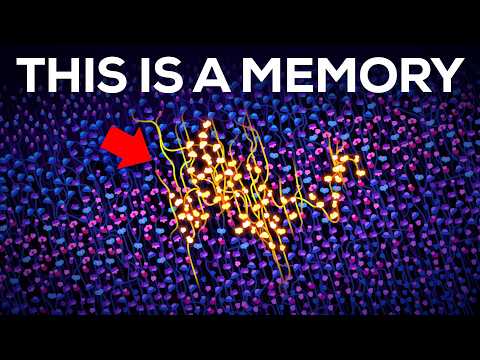 What Exactly IS a Memory?