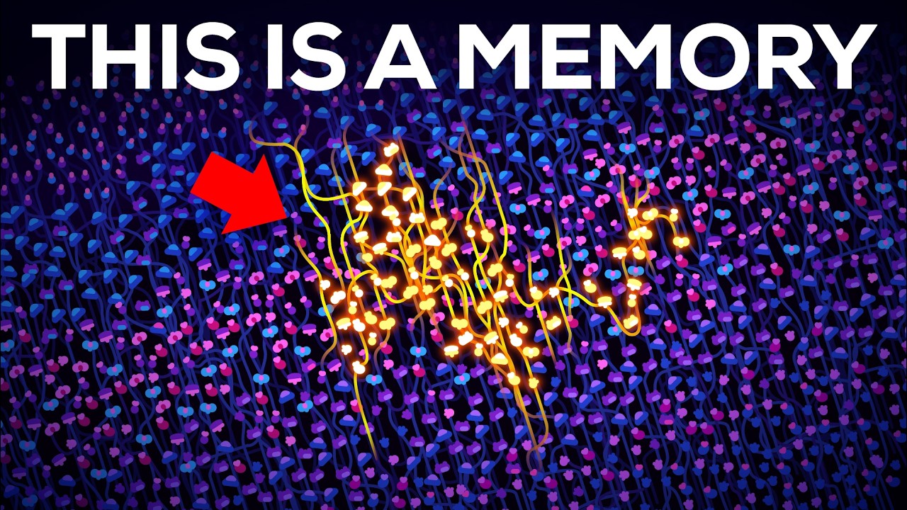 What Exactly IS a Memory?