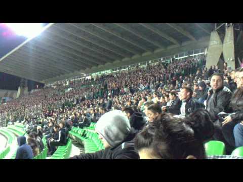 Beroe (Stara Zagora) fans