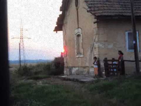 Shibby - In ziua de azi