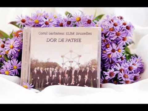 Corul bărbătesc ELIM Bruxelles - Fii lumină!