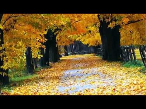 Rudolf Stambolla - Kur Gjethet Bien Ne Vjeshte   ( HD Quality )