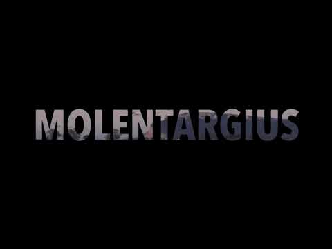Il Fenicottero di Molentargius-Cagliari