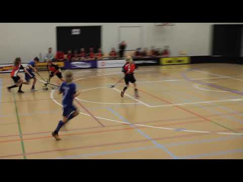 Hipa musta- NJ 4/6 18.11.2018 maininki