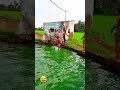 Swimming Comedy Whatsapp Status Tamil Swimming Funny Status Funny Full Screen Whatsapp Status