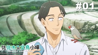 [24冬] 佐佐木與文鳥小嗶 01 阿虛你怎麼混那麼慘