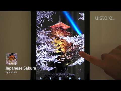 JapaneseSakura LWallpaper Free Video