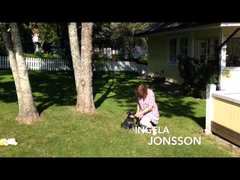 Våra passioner / Forshaga Lärcenter 2015