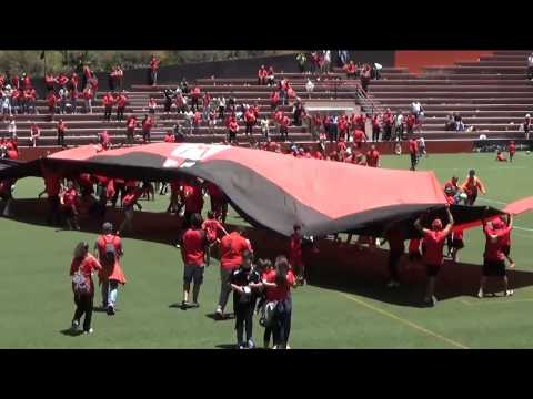 10-05-15  CD  MENSAJERO-UD  TELDE-GOLES Y CELEBRACIÓN-CD  MENSAJERO CAMPEÓN LIGA 3ª DIVISIÓN 2014-15