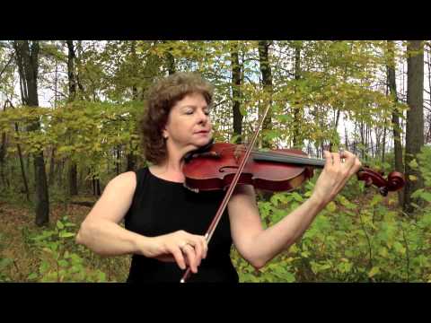 Promotional video thumbnail 1 for Julie Paradies