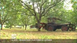 preview picture of video '10ème Fête de la Noix à Saillac en Corrèze (19)'