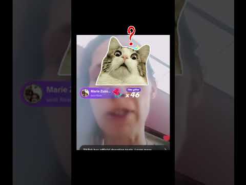 Lisa Richard and her $1 DOLLAR #lisarichard  #shorts #scammer #tiktok