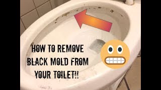 HOW TO REMOVE BLACK MOLD FROM YOUR TOILET! / MOTIVATIONAL CLEANING!