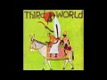 Third World - Brand New Beggar