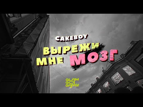 CAKEBOY - ВЫРЕЖИ МНЕ МОЗГ [prod. by SlidinMoon]