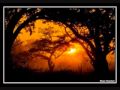 Morning in Newfoundland - Oscar Peterson - Music station 4 Morning in Newfoundland - Oscar Peterson
