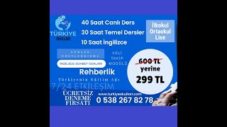 Sanal Okul, Sanal Kolej, Türkiye Okulları