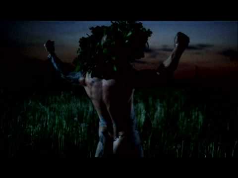 Trailer-Vorschau: Midsummer Madness