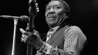 &quot;I&#39;m Ready&quot; (W.Dixon) by Muddy Waters. 1977 Version.
