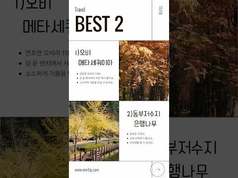 거제 단풍 특파원: 11월 18일