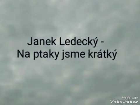 AV 2018 42 Janek Ledecky - Na ptaky jsme kratky