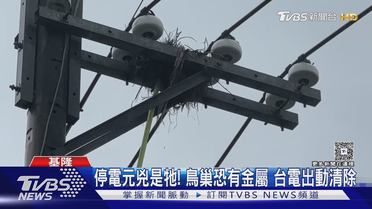 「是真的啦」網友冷諷動物是停電元兇 台電揭秘喜鵲巢穴內含金屬絲