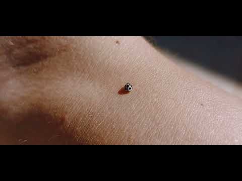 E Ai King - Dub Pills