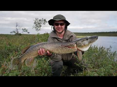 Hiking, fishing and packrafting in Kaldoaivi Wilderness Area