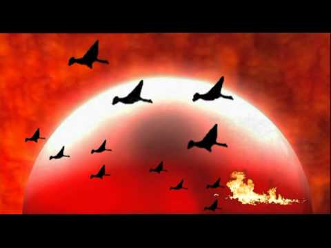 Olympic Petr Janda Kraj,odkud odletěli ptáci CZ