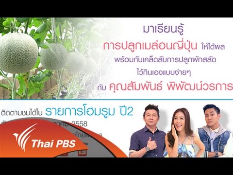 วิธีปลูกเมลอน