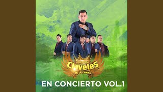 Lagrimas / Veneno Para Olvidar Lyrics English Translation