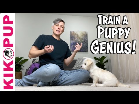 What is Clicker Training