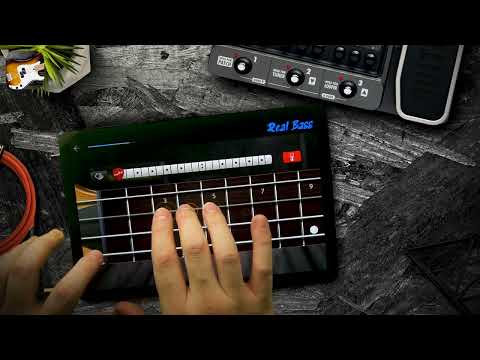 Real Bass - Lesson: Killing in the Name Of