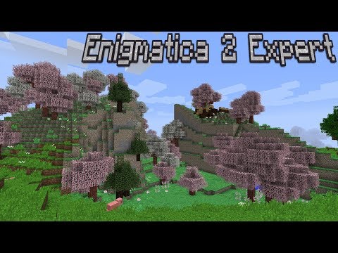 In Search of the Perfect Spot : Enigmatica 2 Expert Lp Ep #2 Minecraft 1.12
