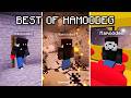 Best Of HamoodeG Skull Edits Compilation