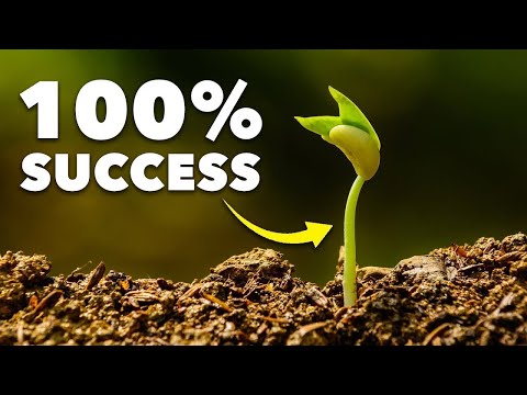 The Clever Way Smart Gardeners Stop Plants Dying