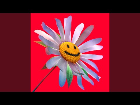 Quiero Volver A Repetir