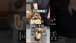 3日間犬と同じ生活したら何キロ痩せるの？