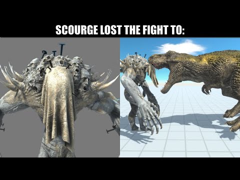 SCOURGE BECOMING SAD  POV SCOURGE LOST THE FIGHT TO  -  ARBS