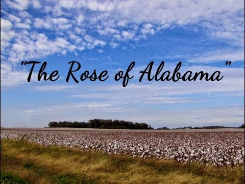 Rose Of Alabama video